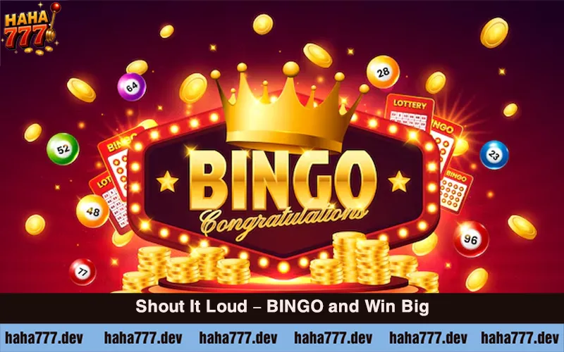 About Bingo (1)