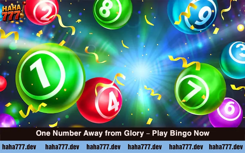 About Bingo (2)