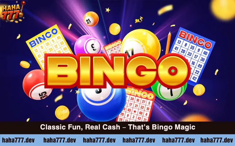 About Bingo (3)