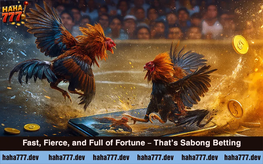 Betting Sabong (2)