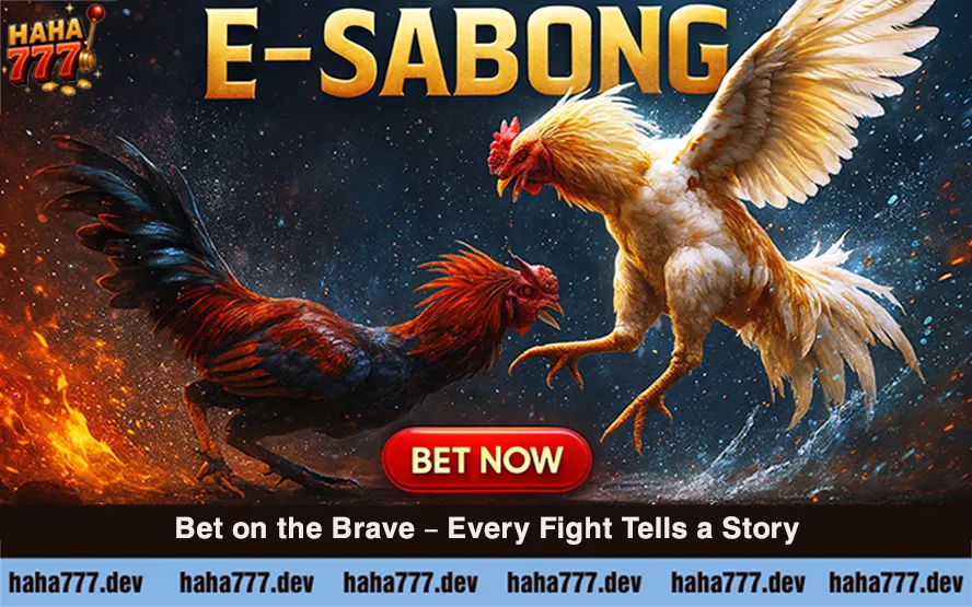 Betting Sabong (3)