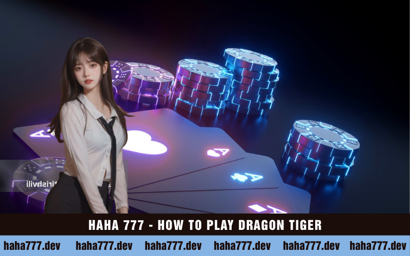 HAHA 777 - HOW TO PLAY DRAGON TIGER