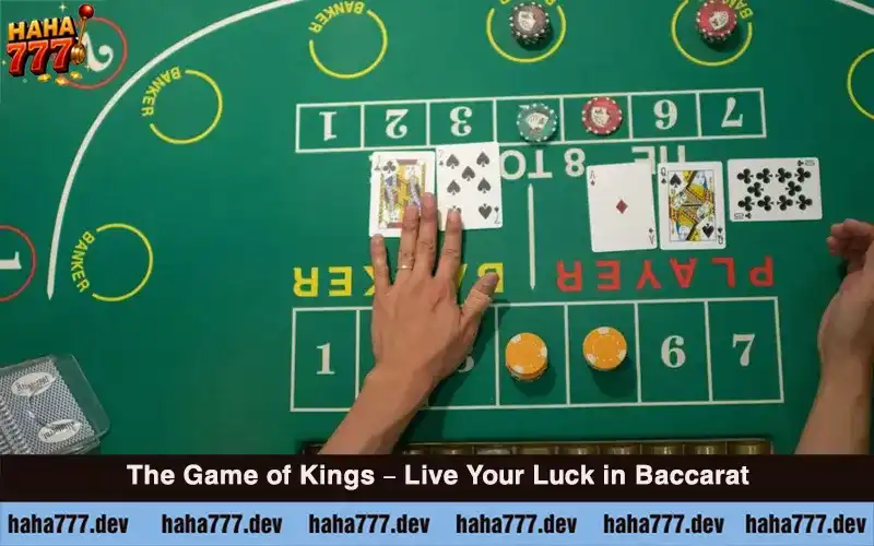How to Play Baccarat 1