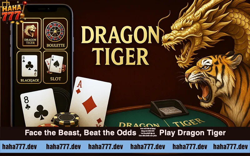 How to Play Dragon Tiger at Haha777 (2)