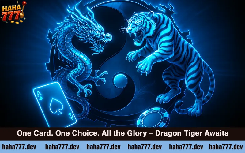 How to Play Dragon Tiger at Haha777 (3)