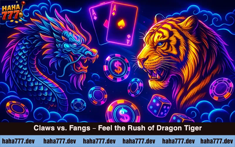 How to Play Dragon Tiger at Haha777 (4)