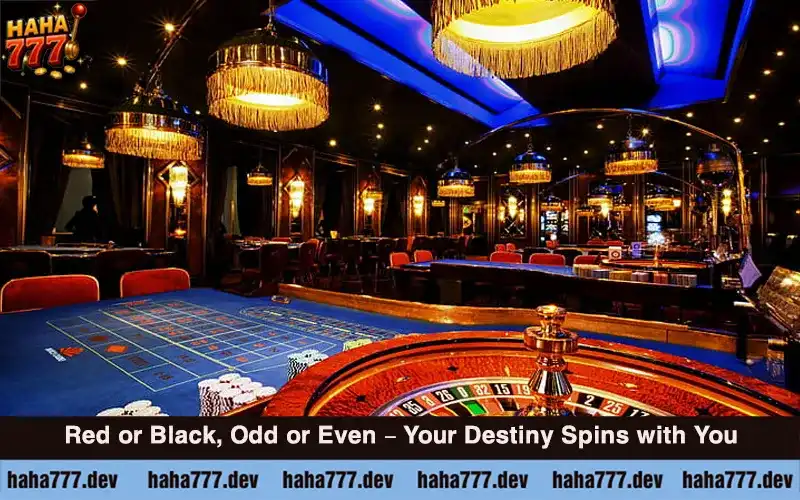 How to Play Roulette Live at Haha777 (2)