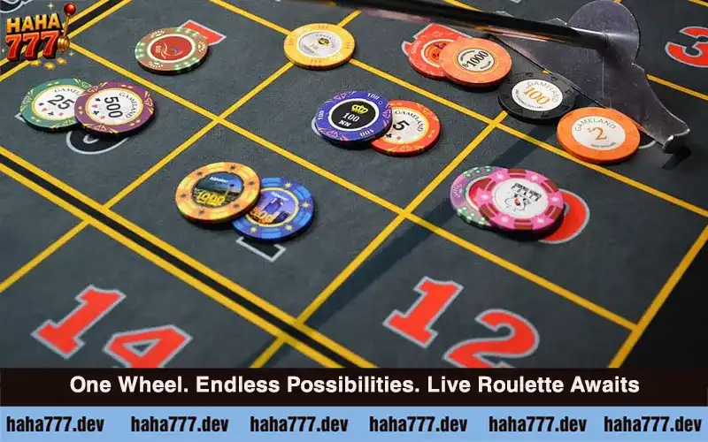How to Play Roulette Live at Haha777 (4)