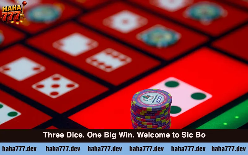 How to Play Sic Bo at Haha777 (3)