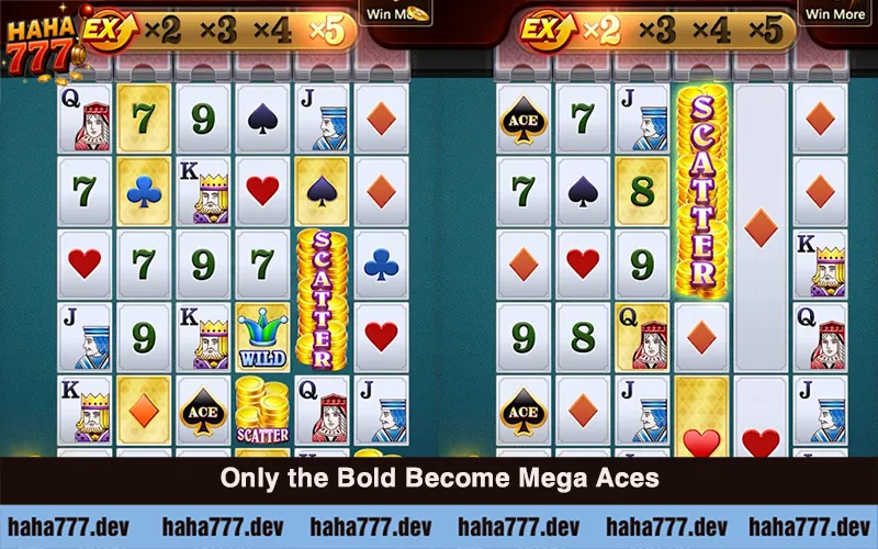 Mega Ace (2)