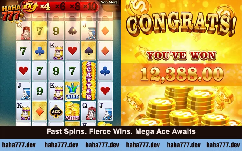 Mega Ace (4)