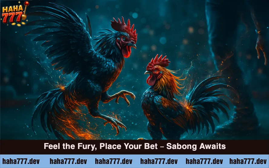 Sabong at haha777 (2)