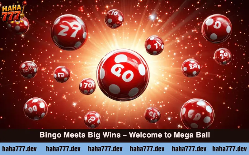 mega ball (2)