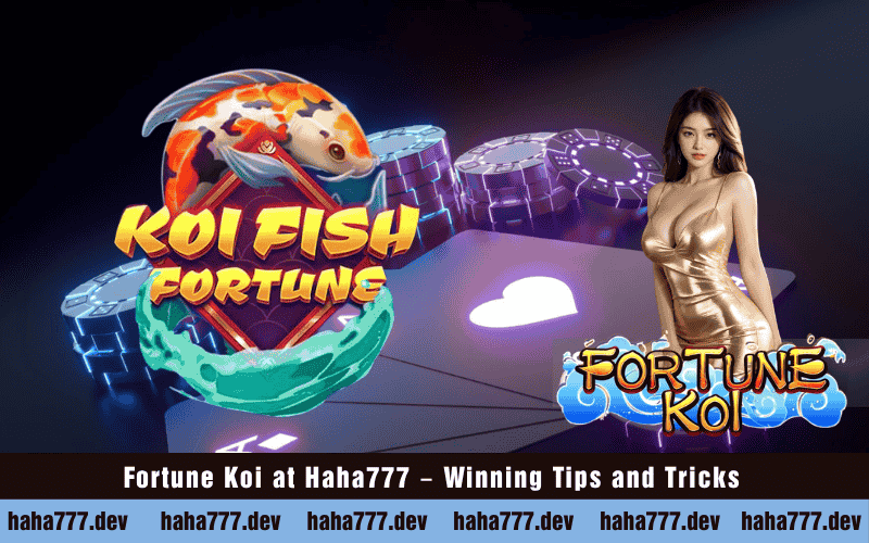 Fortune Koi at Haha777 – Winning Tips and Tricks