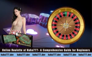 Online Roulette at Haha777- A Comprehensive Guide for Beginners